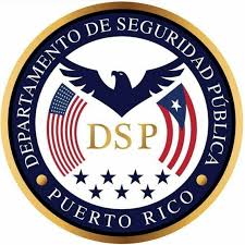 Seguridad Pública