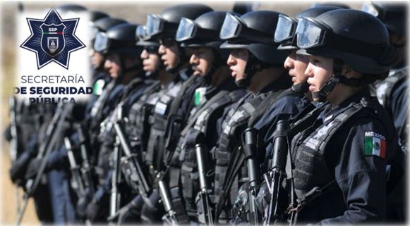 Seguridad Ciudadana