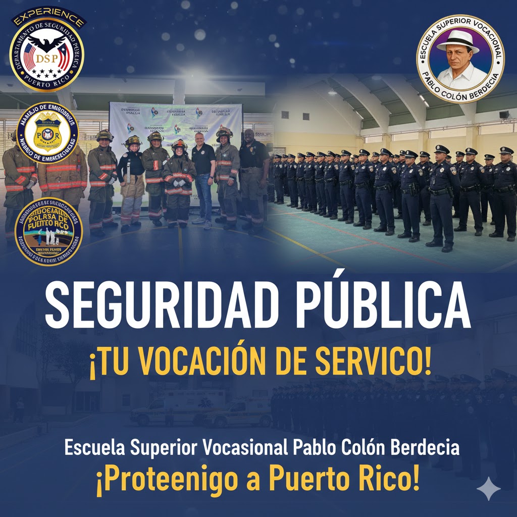 Seguridad Publica